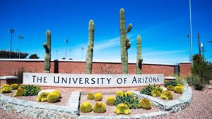 Top 10 Online Colleges in USA